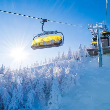 - Bialaperla 西恩纳